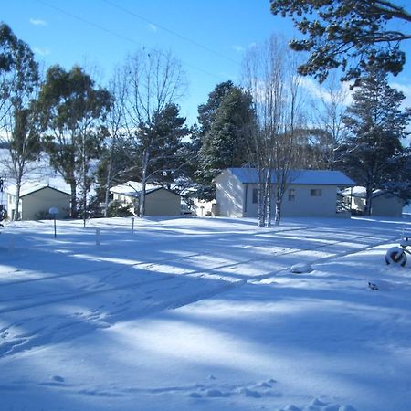 Rainbow Pines Tourist Caravan Park Adaminaby Ngoại thất bức ảnh
