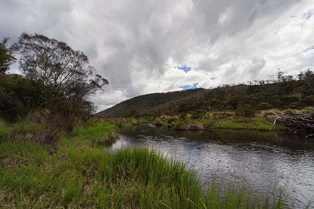 Rainbow Pines Tourist Caravan Park Adaminaby Ngoại thất bức ảnh